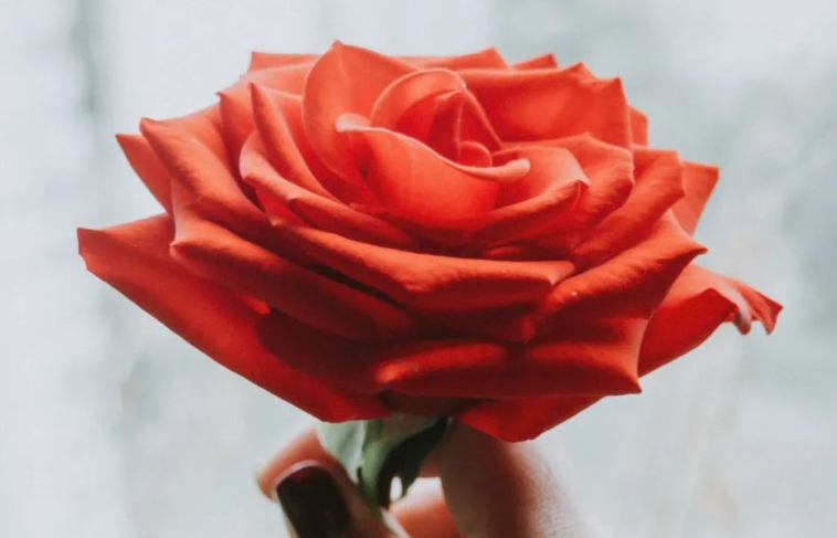 广州市外遇调查；女人有外遇和老公离婚可以吗