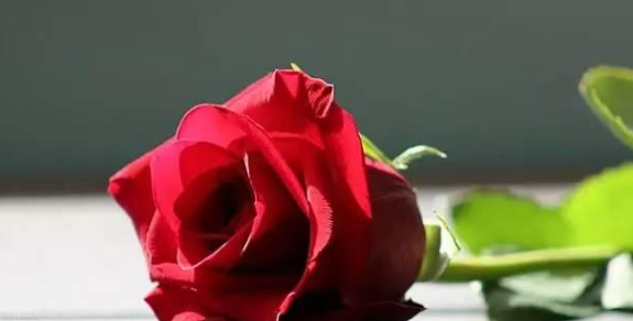 广州市侦探事务所；女方在什么情况不能离婚